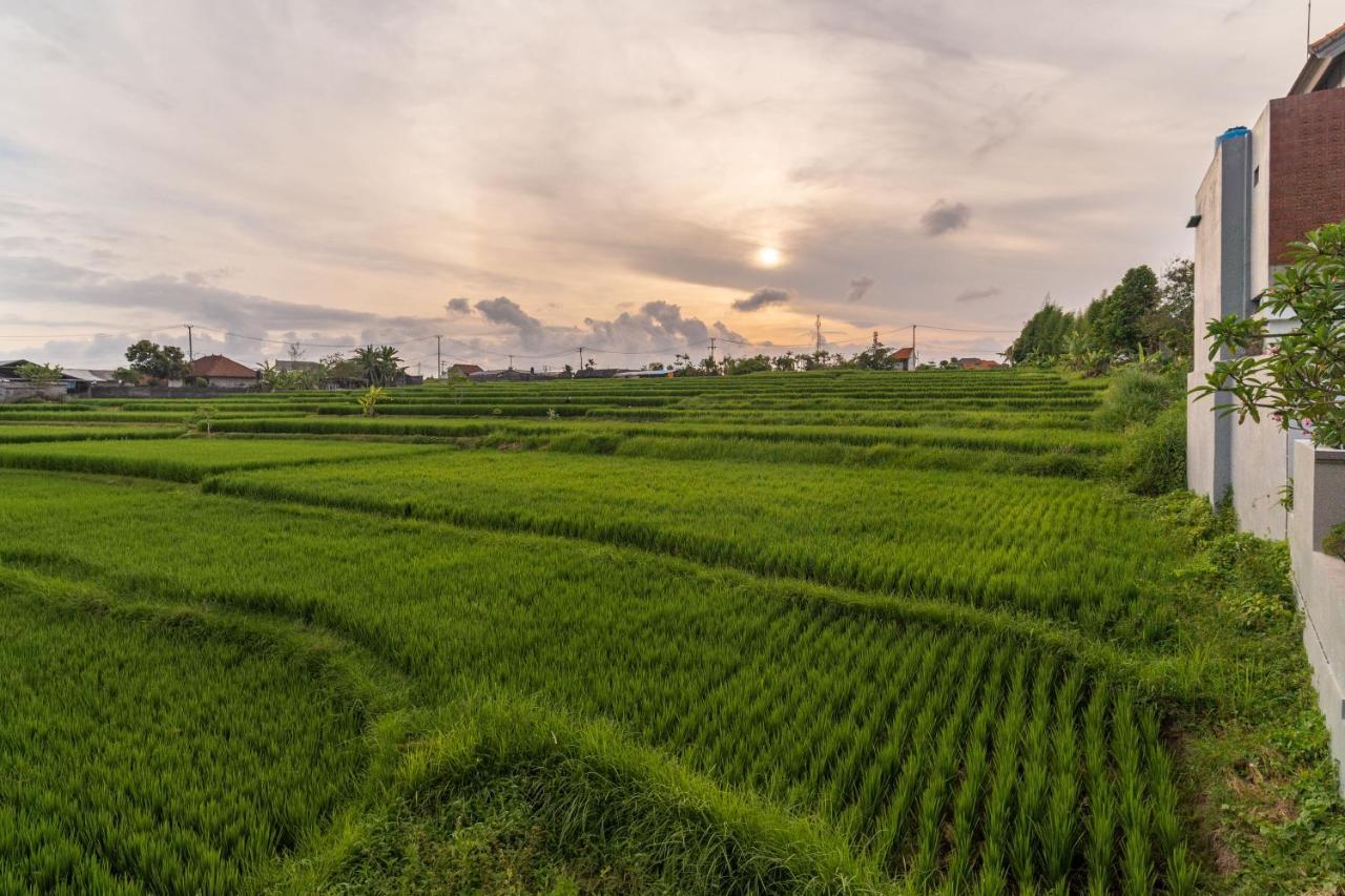 D'Macho Villas Ubud Екстериор снимка